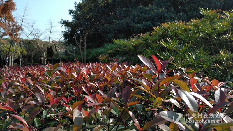 联想乐檬X3 随手拍~