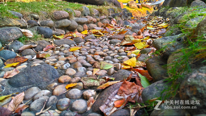 联想乐檬X3 随手拍~