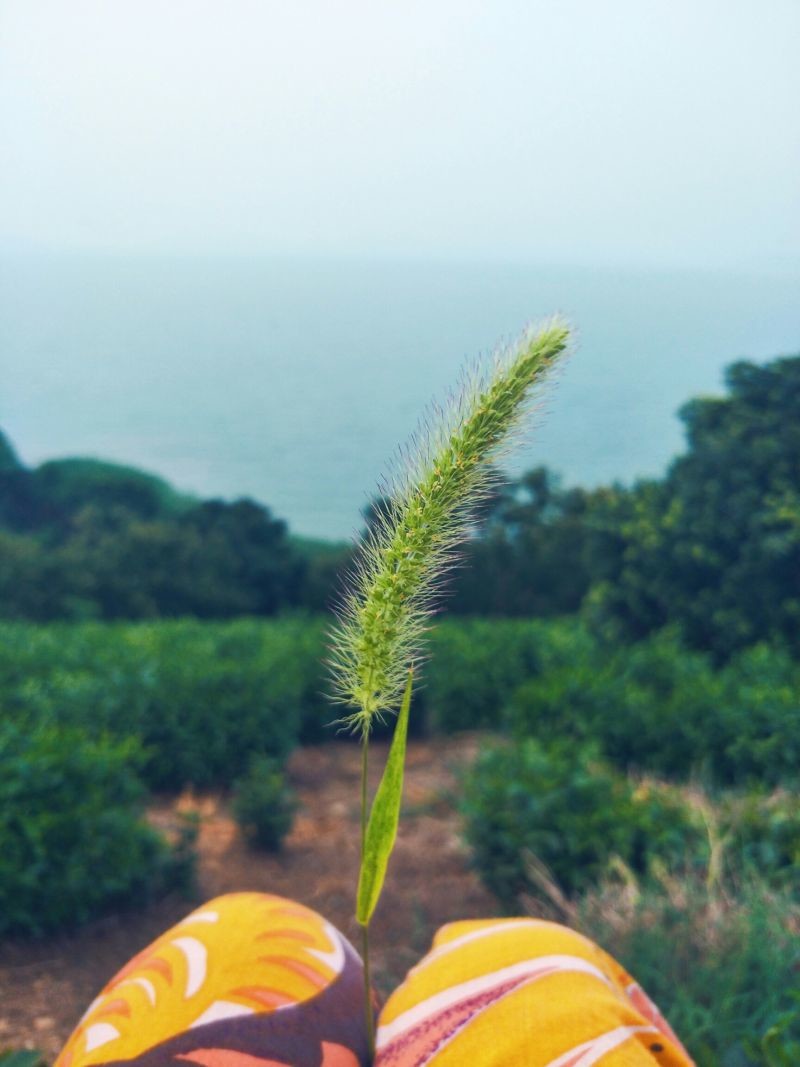 #和喜欢的一切在一起##用手机记录生活#