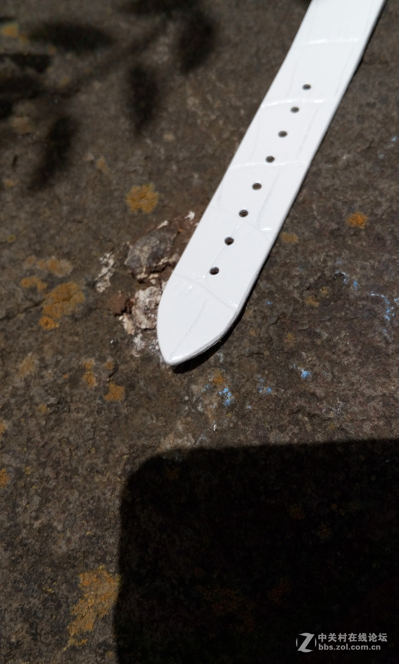 【朵唯MISD智能宝石腕表】绿叶丛中一点亮！