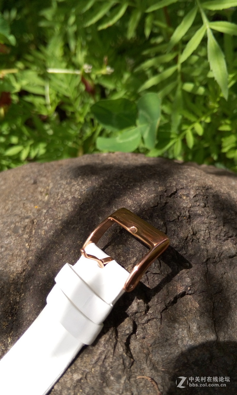 【朵唯MISD智能宝石腕表】绿叶丛中一点亮！