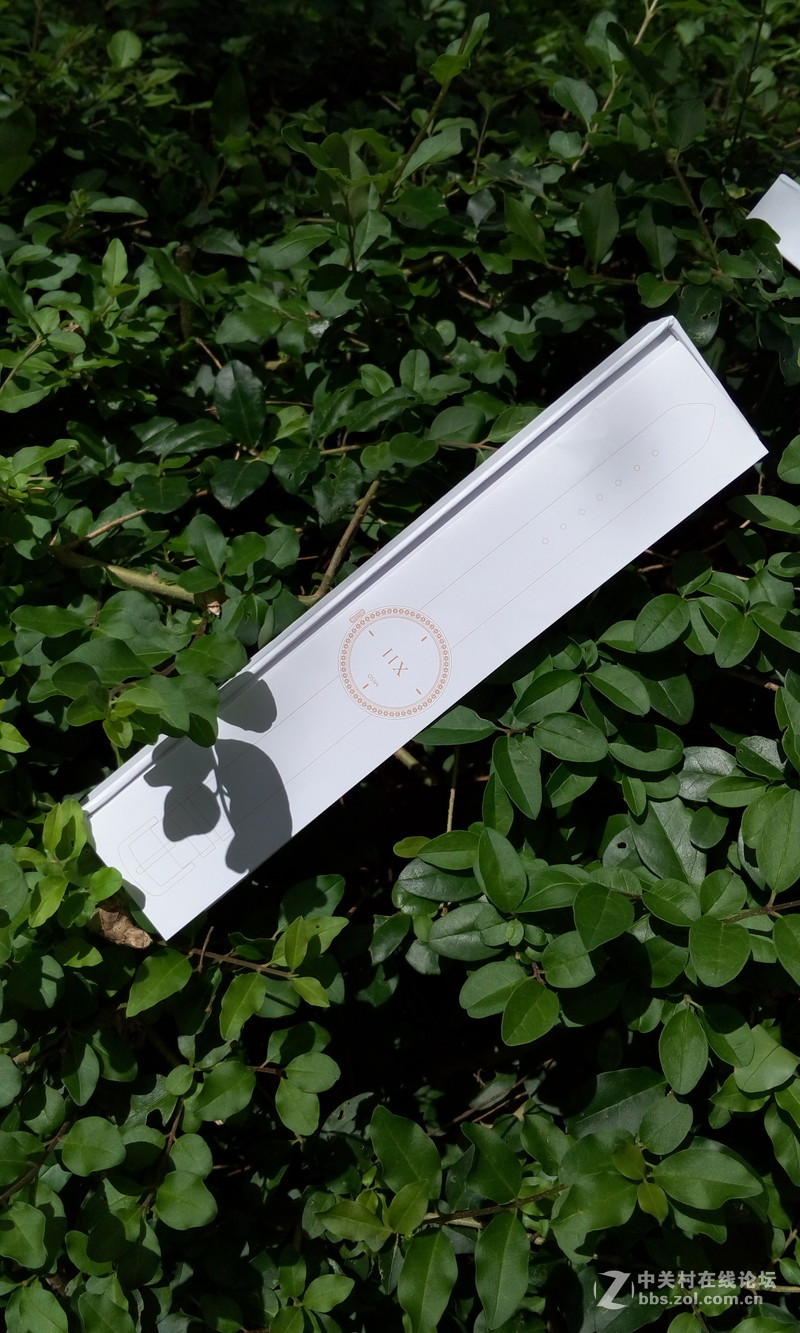 【朵唯MISD智能宝石腕表】绿叶丛中一点亮！