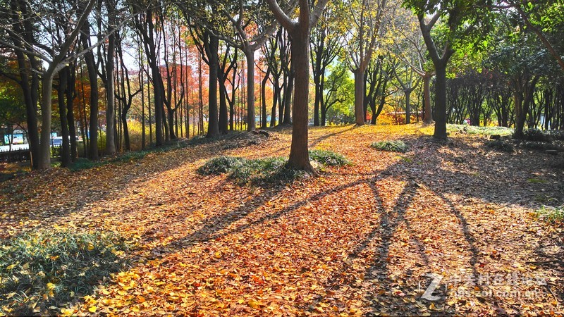 联想乐檬X3 随手拍~