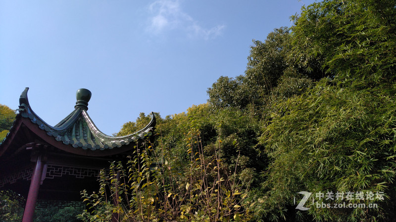 联想乐檬X3 随手拍~