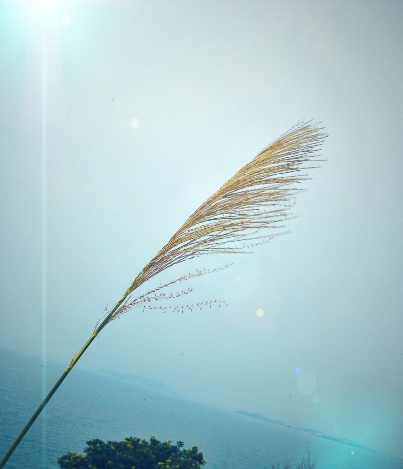 #和喜欢的一切在一起##用手机记录生活#