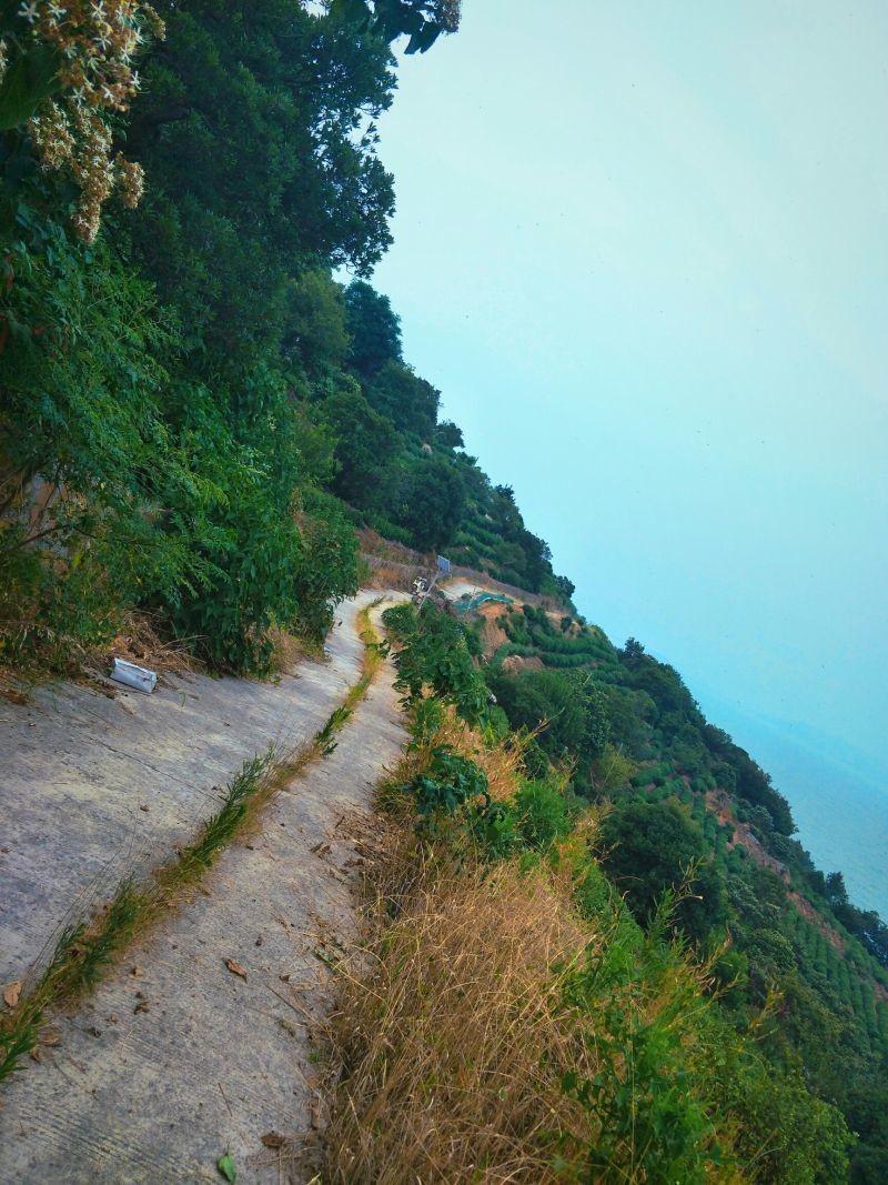 #和喜欢的一切在一起##用手机记录生活#