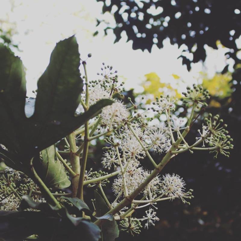 #和喜欢的一切在一起##调色慢生活##我去过的城市#杭州