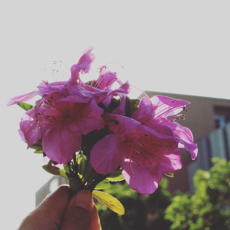 #和喜欢的一切在一起##调色慢生活##我去过的城市#杭州