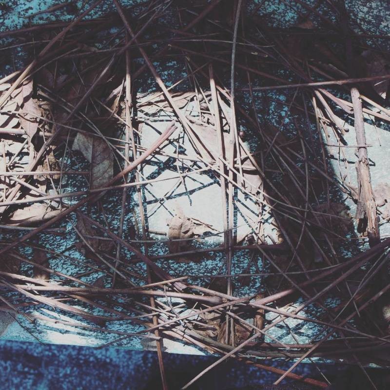 #和喜欢的一切在一起##调色慢生活##我去过的城市#杭州