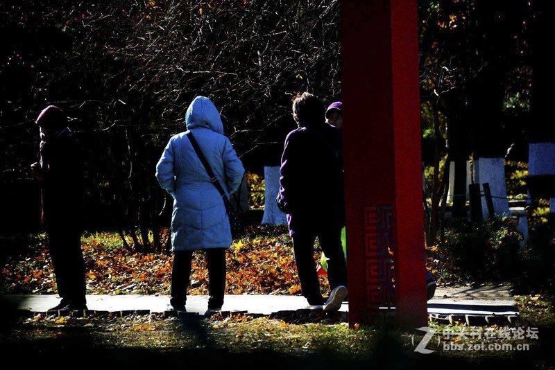 挽留深秋美景   北京推迟清扫落叶