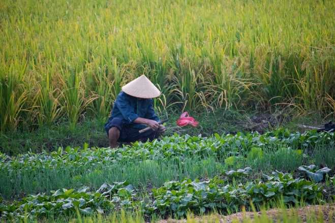 生活来自劳动力，你赞同吗？