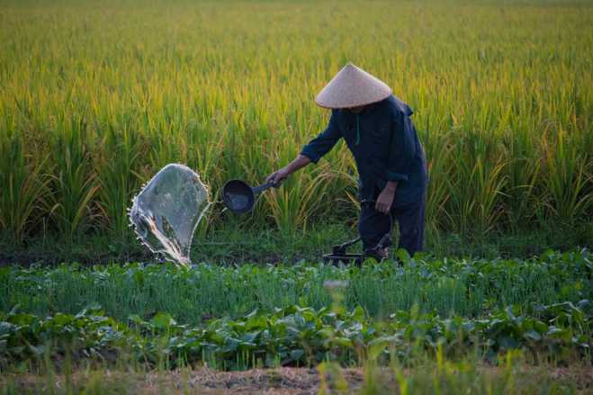 生活来自劳动力，你赞同吗？