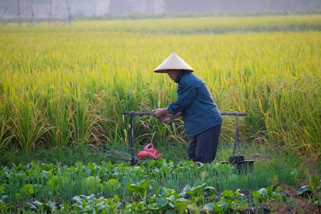 生活来自劳动力，你赞同吗？