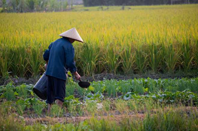 生活来自劳动力，你赞同吗？