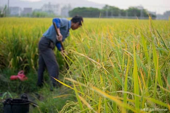 生活来自劳动力，你赞同吗？