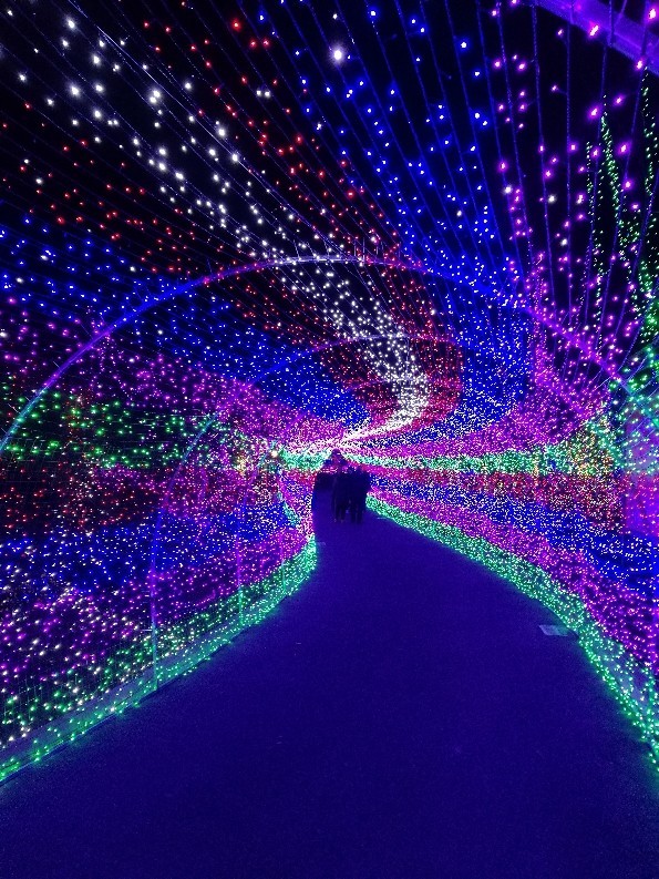 看看新春灯会