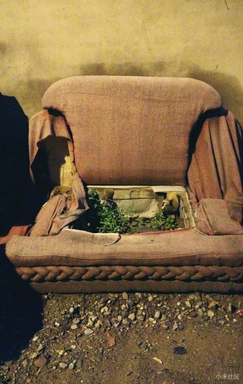 我在一座城里拍可能是你们一直在寻找的属于自己的“位子”