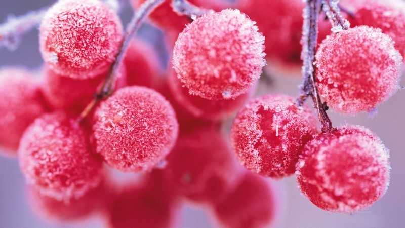 家用NEC NP-CD3100H投影机的实际图像测评效果图展示