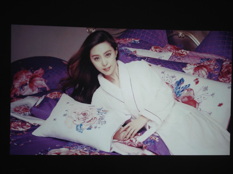 家用NEC NP-CD3100H投影机的实际图像测评效果图展示