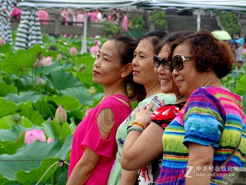 荷塘景色（三圣乡蜀仙园）