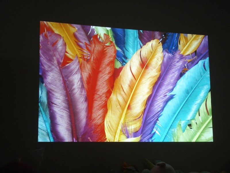 家用NEC NP-CD3100H投影机的实际图像测评效果图展示