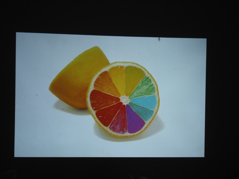 家用NEC NP-CD3100H投影机的实际图像测评效果图展示