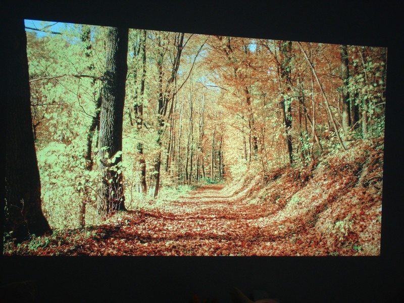 家用NEC NP-CD3100H投影机的实际图像测评效果图展示