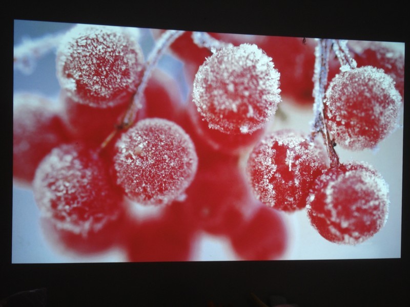 家用NEC NP-CD3100H投影机的实际图像测评效果图展示