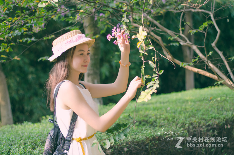 燕鸣岛的Ling妹子