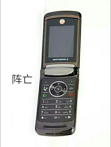 我的（媳妇儿）