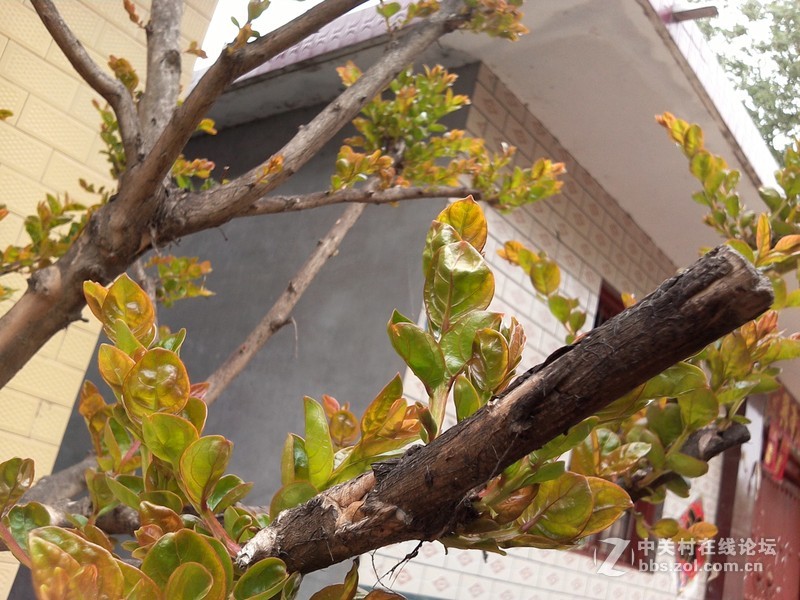 #不被遗忘#七彩虹 彩虹在线i103老人平板评测