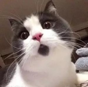 有了这个厉害的路由器，组团开黑再也不坑队友！