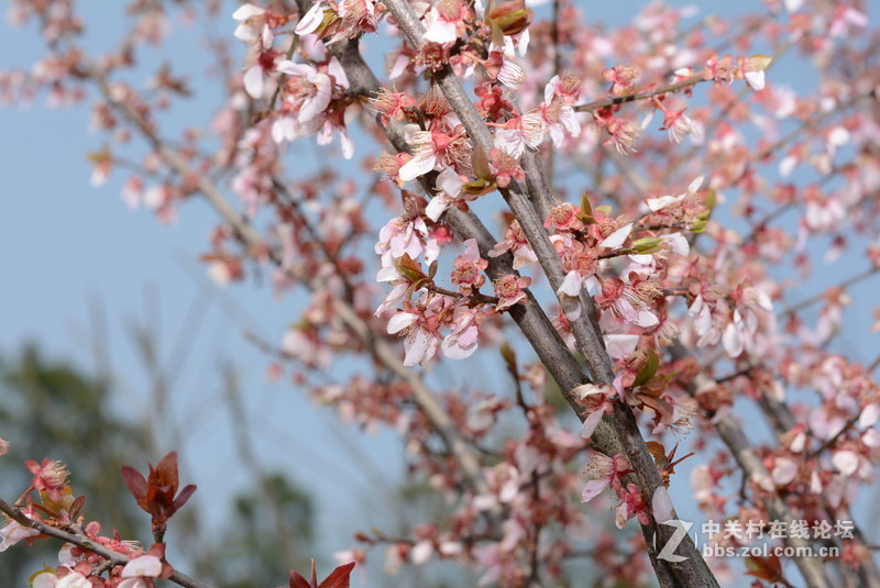 新入 ART 50mm F/1.4 几张随拍，见谅