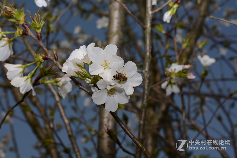 新入 ART 50mm F/1.4 几张随拍，见谅