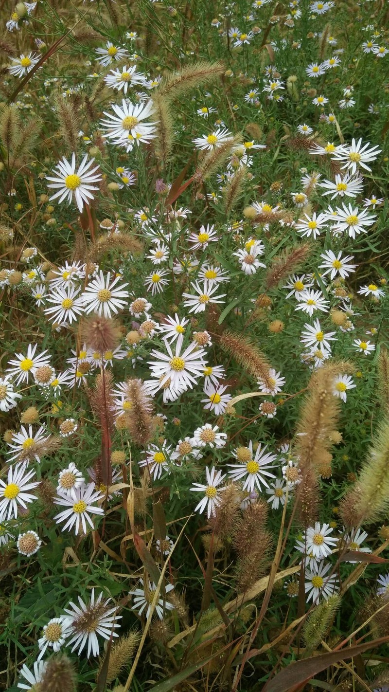 我就觉得它很美