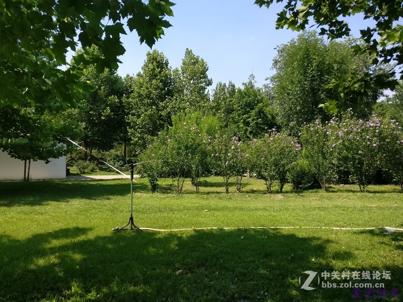 奥森公园High翻夏日一加手机3“暴走”大趴实录