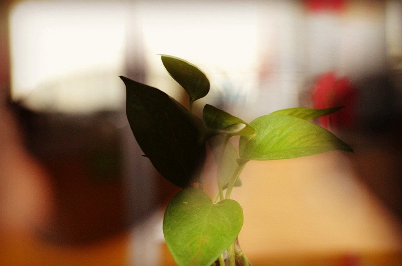 #数码#科技耍酷才是真酷，广百思智能蓝牙眼镜体验