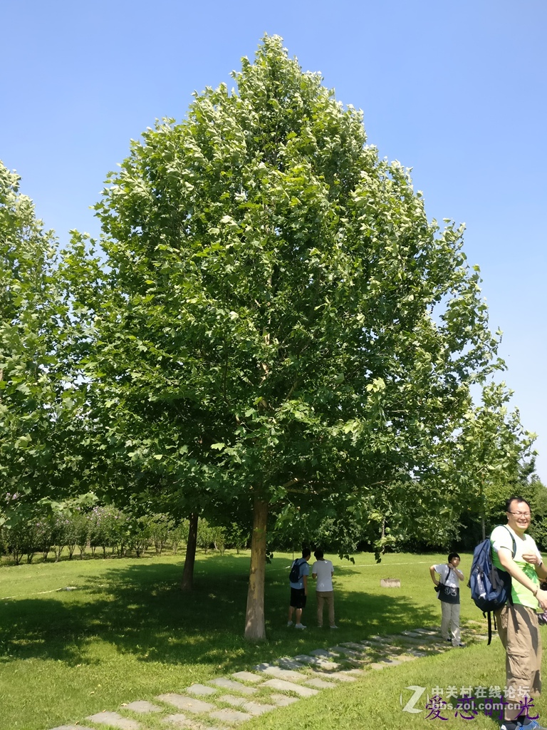 奥森公园High翻夏日一加手机3“暴走”大趴实录