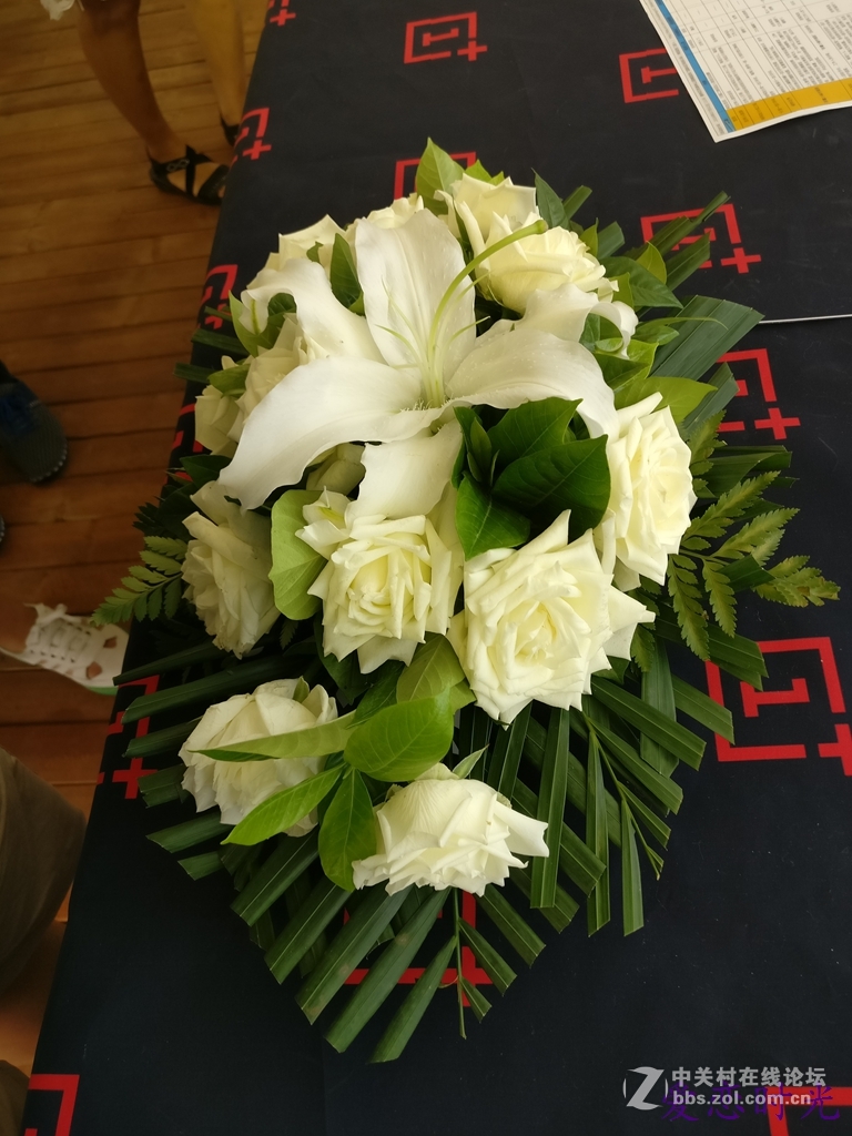 奥森公园High翻夏日一加手机3“暴走”大趴实录