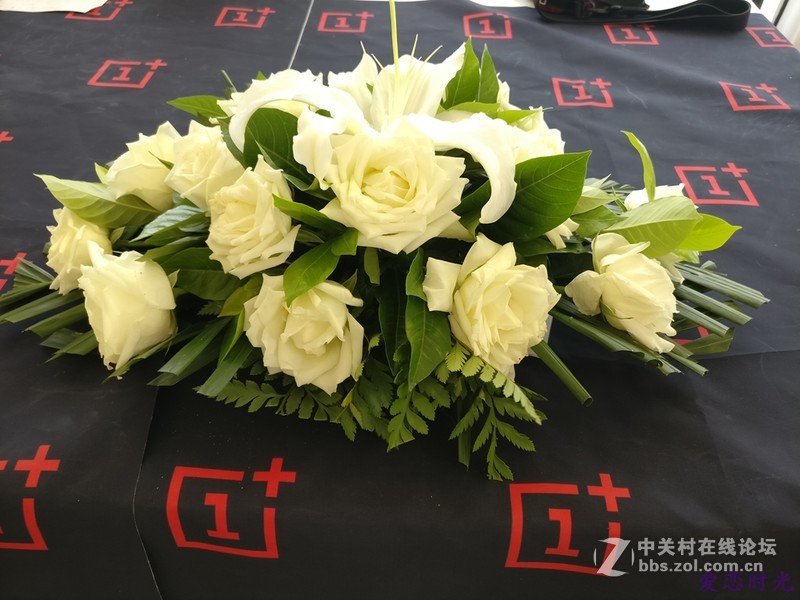 奥森公园High翻夏日一加手机3“暴走”大趴实录