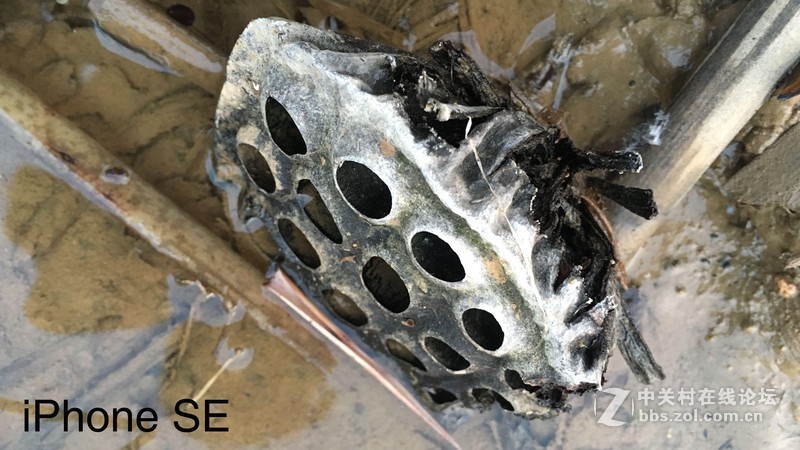 回归原始，你是否是一只披着假外壳的“狼”？——iPhone SE试玩评测