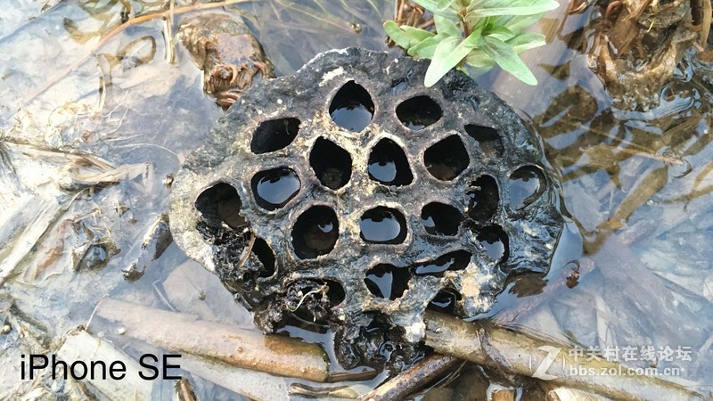 回归原始，你是否是一只披着假外壳的“狼”？——iPhone SE试玩评测