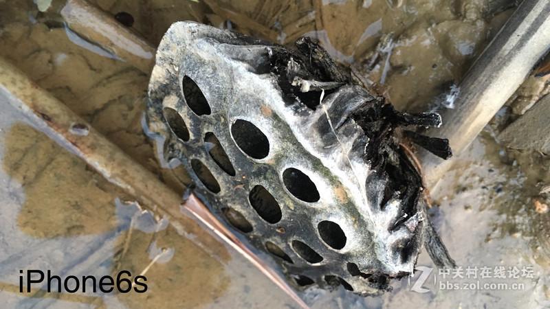 回归原始，你是否是一只披着假外壳的“狼”？——iPhone SE试玩评测