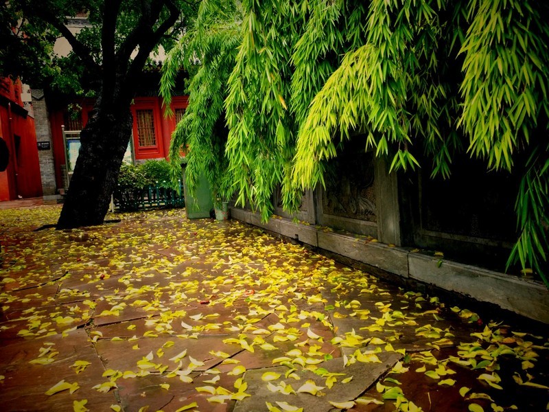 用了一年啦，今天上午用xplay5拍了一组照片，手机自带软件简单处理了一下，一同来分