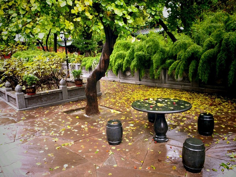 用了一年啦，今天上午用xplay5拍了一组照片，手机自带软件简单处理了一下，一同来分