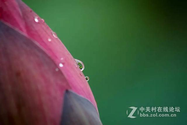 如奶油般化开的背景虚化