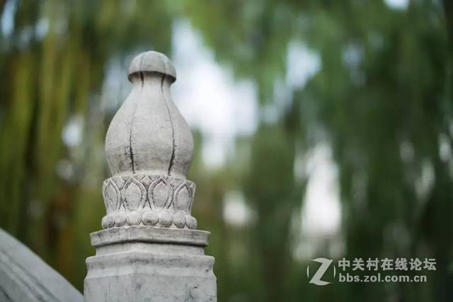 如奶油般化开的背景虚化
