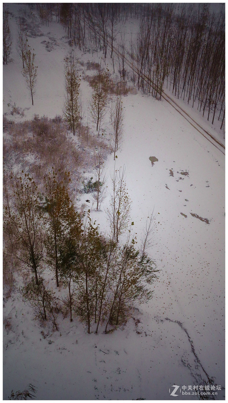 山东东平2015的第一场雪