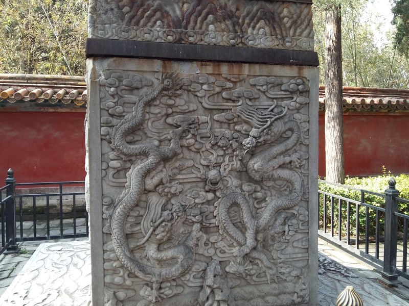 星空体育平台A5000旅游拍照