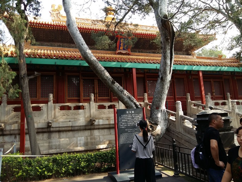 星空体育平台A5000旅游拍照